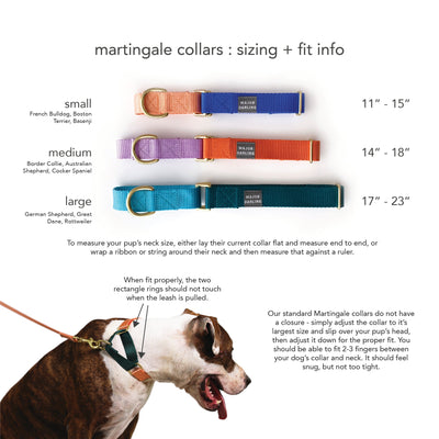 martingale collar / orange + lilac