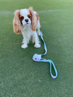 Golf Dog Leash
