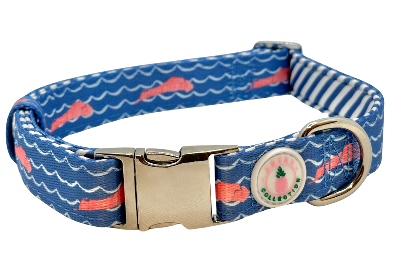 Kiawah Island Dog Collar