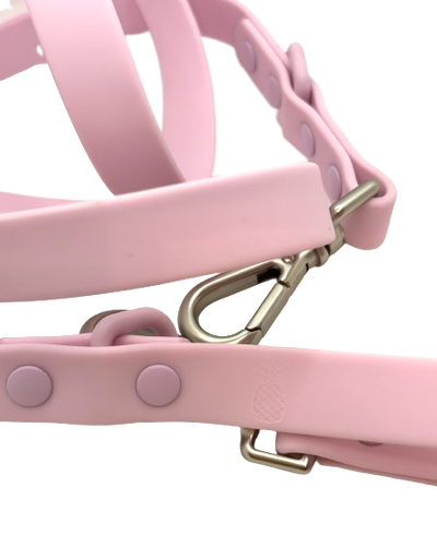 All-Weather Leash: Shell Pink