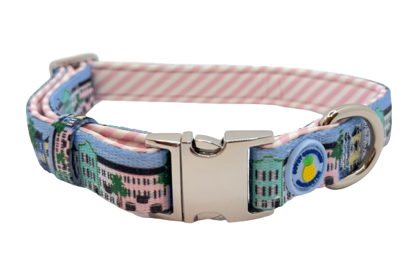 Rainbow Row Dog Collar