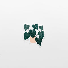 Plant 1 Sticker