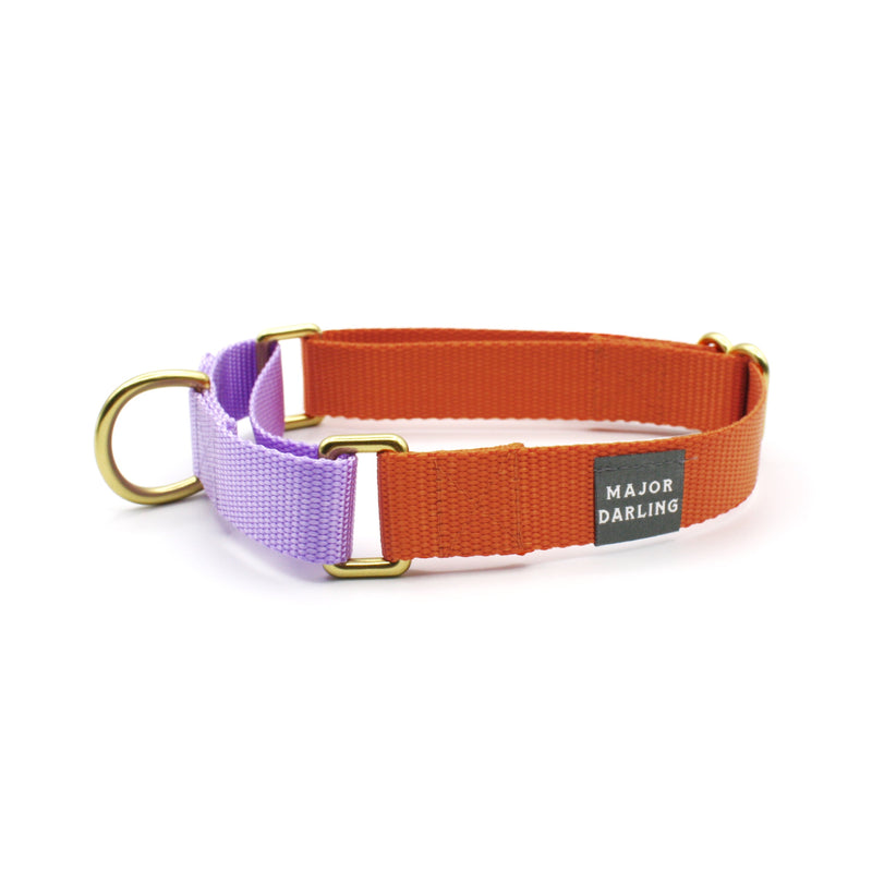 martingale collar / orange + lilac