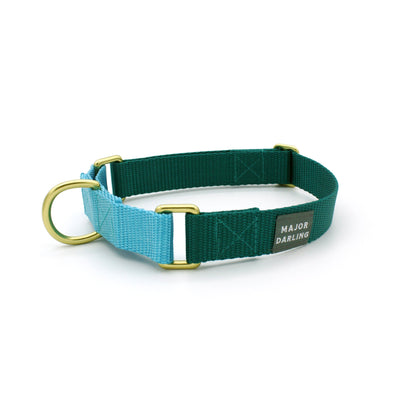 martingale collar / teal + bluebell
