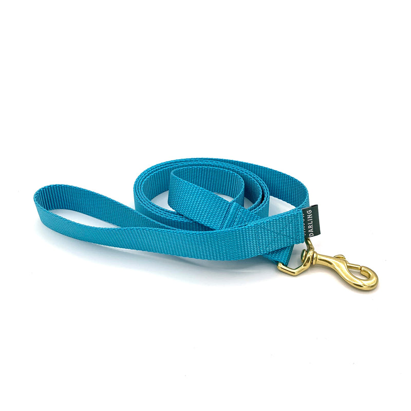 basic leash / bluebell