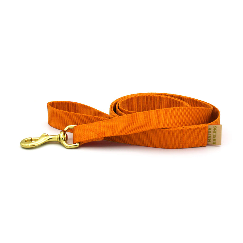 basic leash / orange