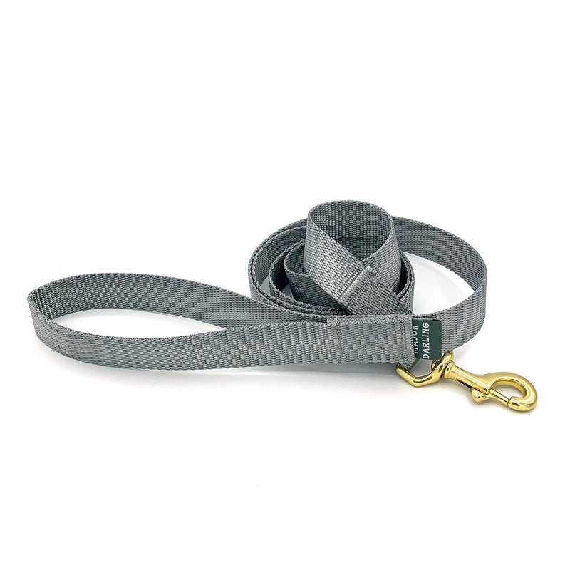 basic leash / silver