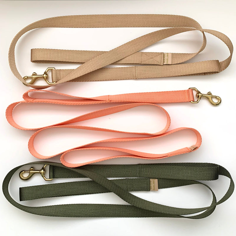 double handle leash / traffic leash
