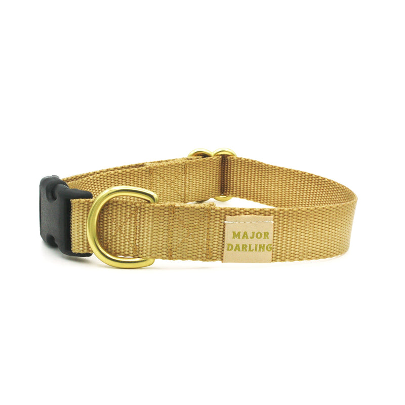 side-release buckle collar / gold