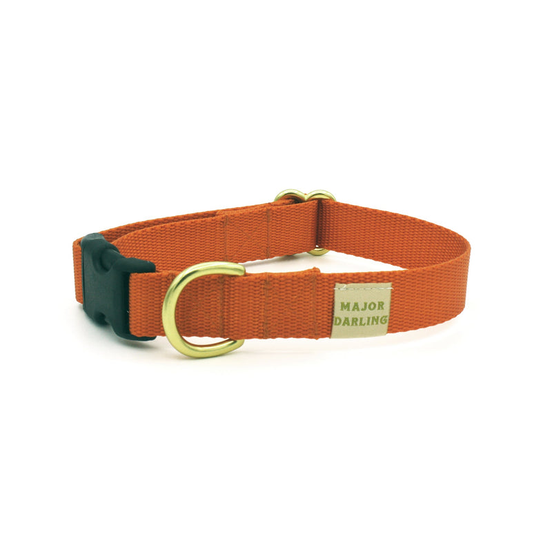 side-release buckle collar / orange