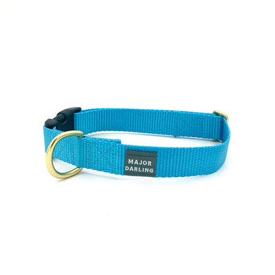 side-release buckle collar / bluebell