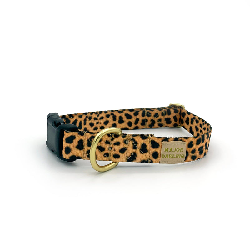 side-release buckle collar / leopard