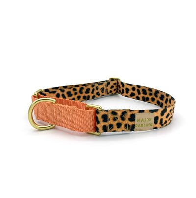 martingale collar / leopard print