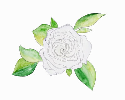 White Rose Sticker