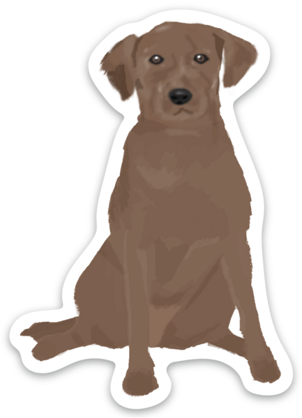 Chocolate Labrador Sticker