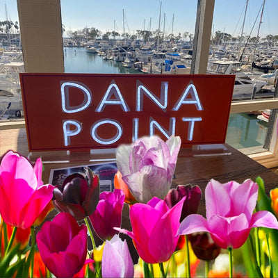 Dana Point, Ca. LED Sign (Available Now)