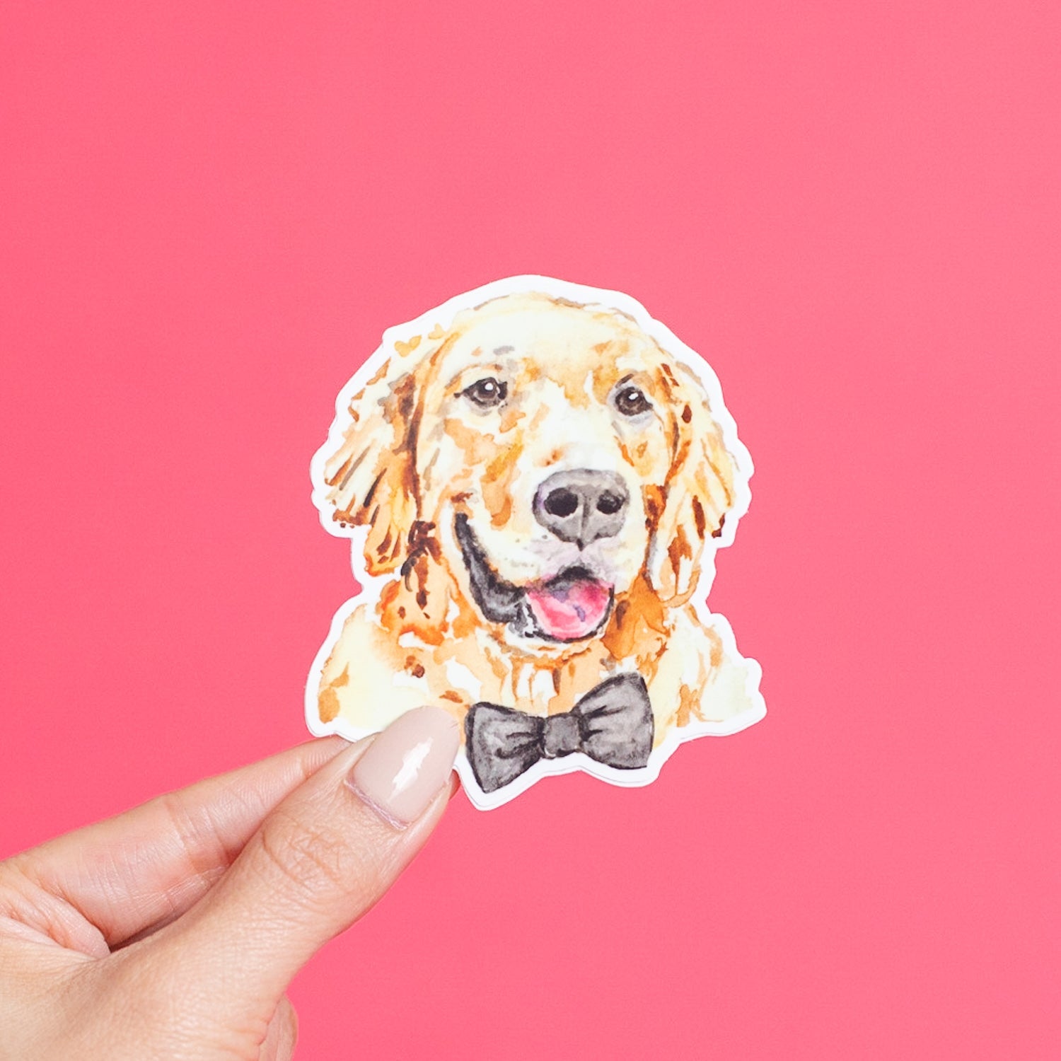 Golden Retriever Sticker – Six and Main