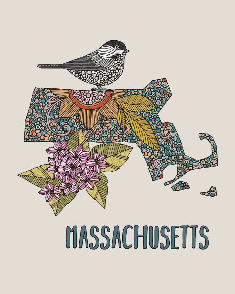 Massachusetts State Map - State Bird black-capped chickadeee- State Flower mayflower
