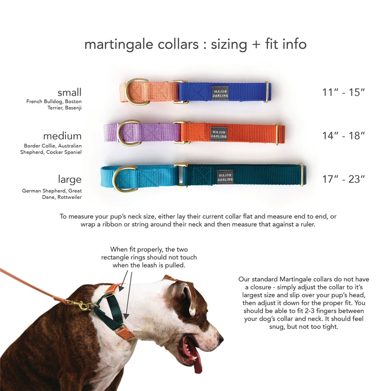 martingale collar / teal + bluebell