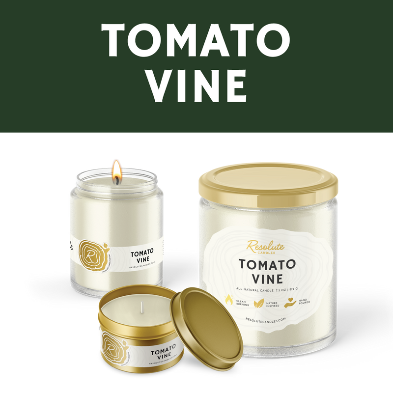 Tomato Vine