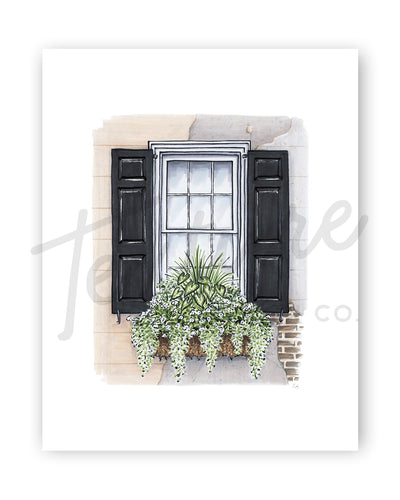 Flower Box Print of Stucco and Brick House with Greenery