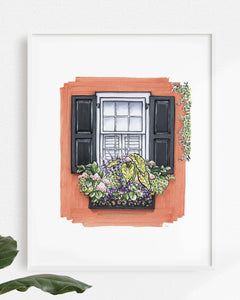 Flower Box Print of Coral House with Vine Growing