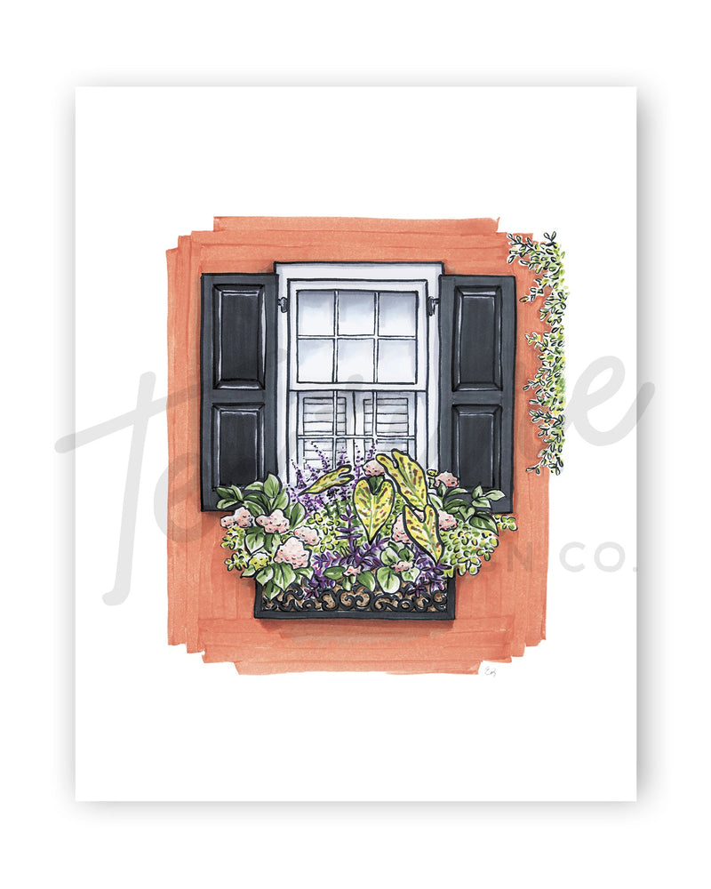 Flower Box Print of Coral House with Vine Growing
