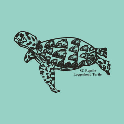 Toddler SC State Reptile Loggerhead Turtle, Sea Green T-Shirt